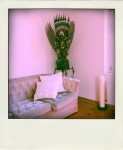 Ding_101023-pola