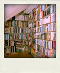 buecher_20101223-pola