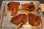 gans_20101224_4 gans_20101224_4