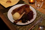 gans_20101224_5 gans_20101224_5
