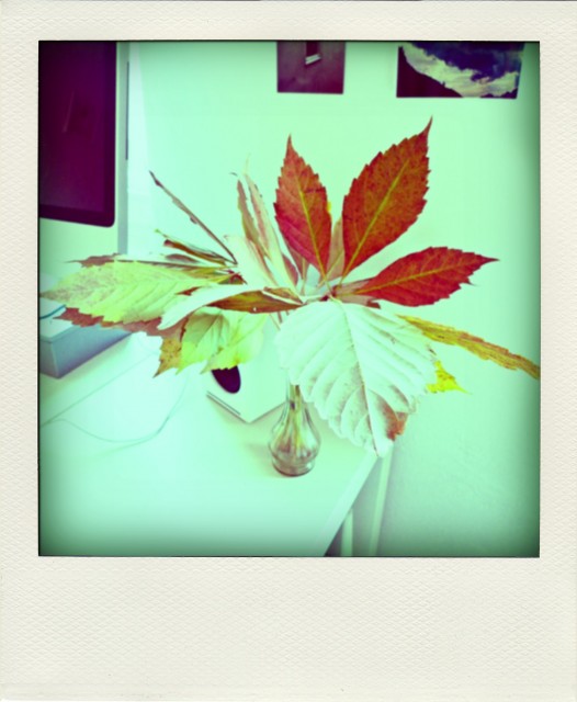 herbst_qu_1_20111016-pola