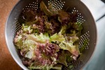 Salat