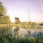 brandenburg_3_110508