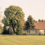 brandenburg_8b_110508
