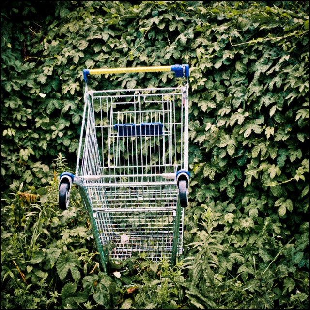 einkaufswagen_1_20110702