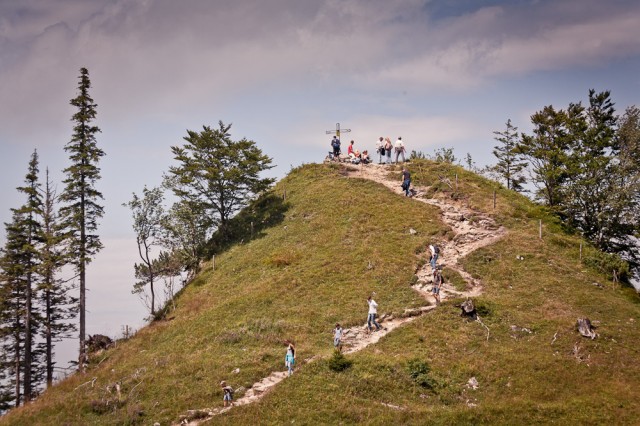 Hochfelln, Chiemgauer Alpen, Bayern
