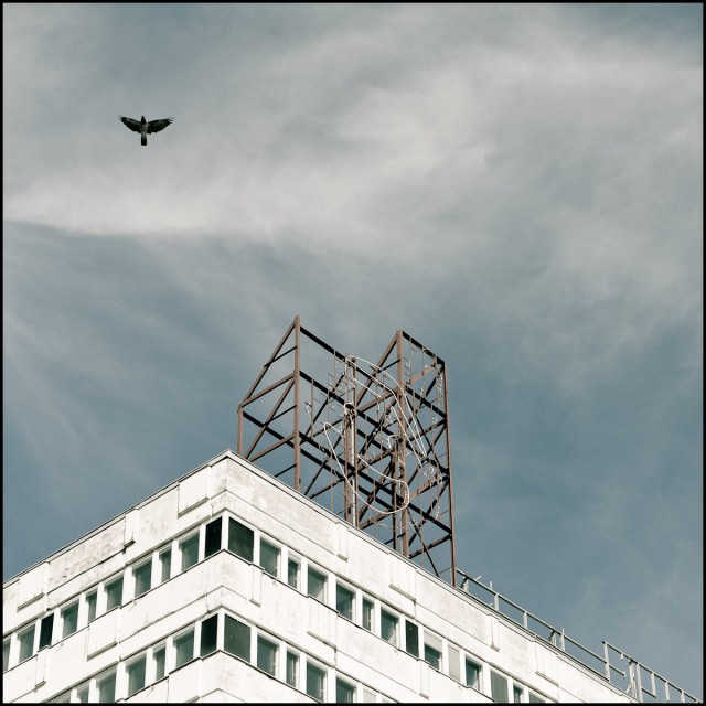 vogel_1_20110820