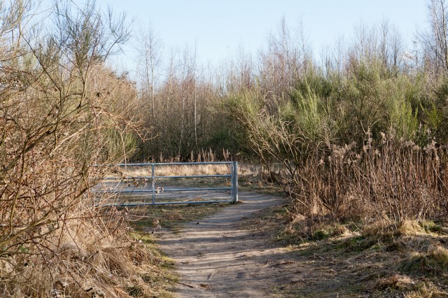 kochskuhle_20120226_IMG_4194