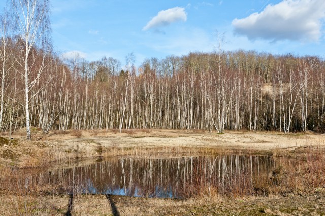 kochskuhle_20120226_IMG_4211