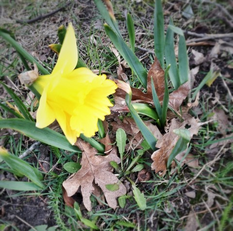 autumninspring_2012-04-02 17.42.00-1